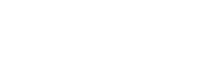 RVN Management